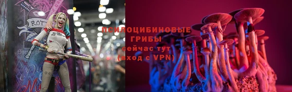 гидра Магадан