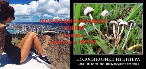ALPHA PVP Майский