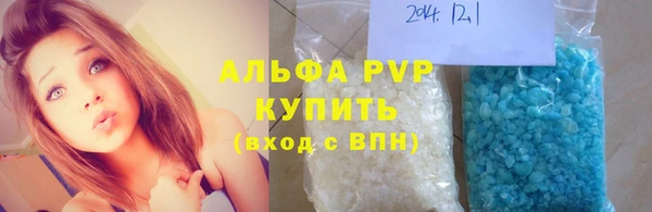 дмт Магас