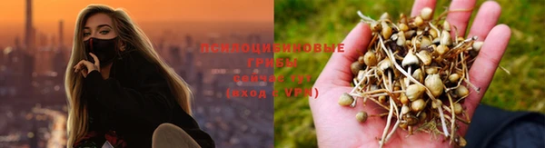 дмт Магас