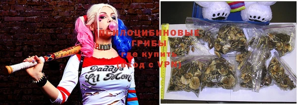 хмурый Медвежьегорск
