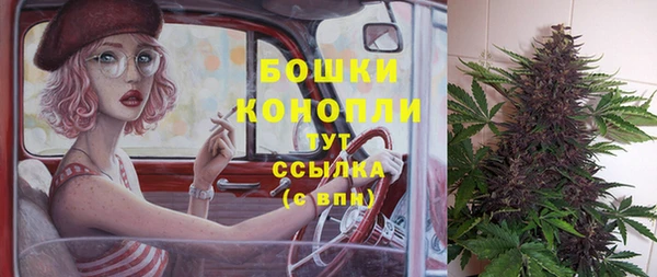 спиды Медногорск