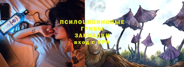 дмт Магас
